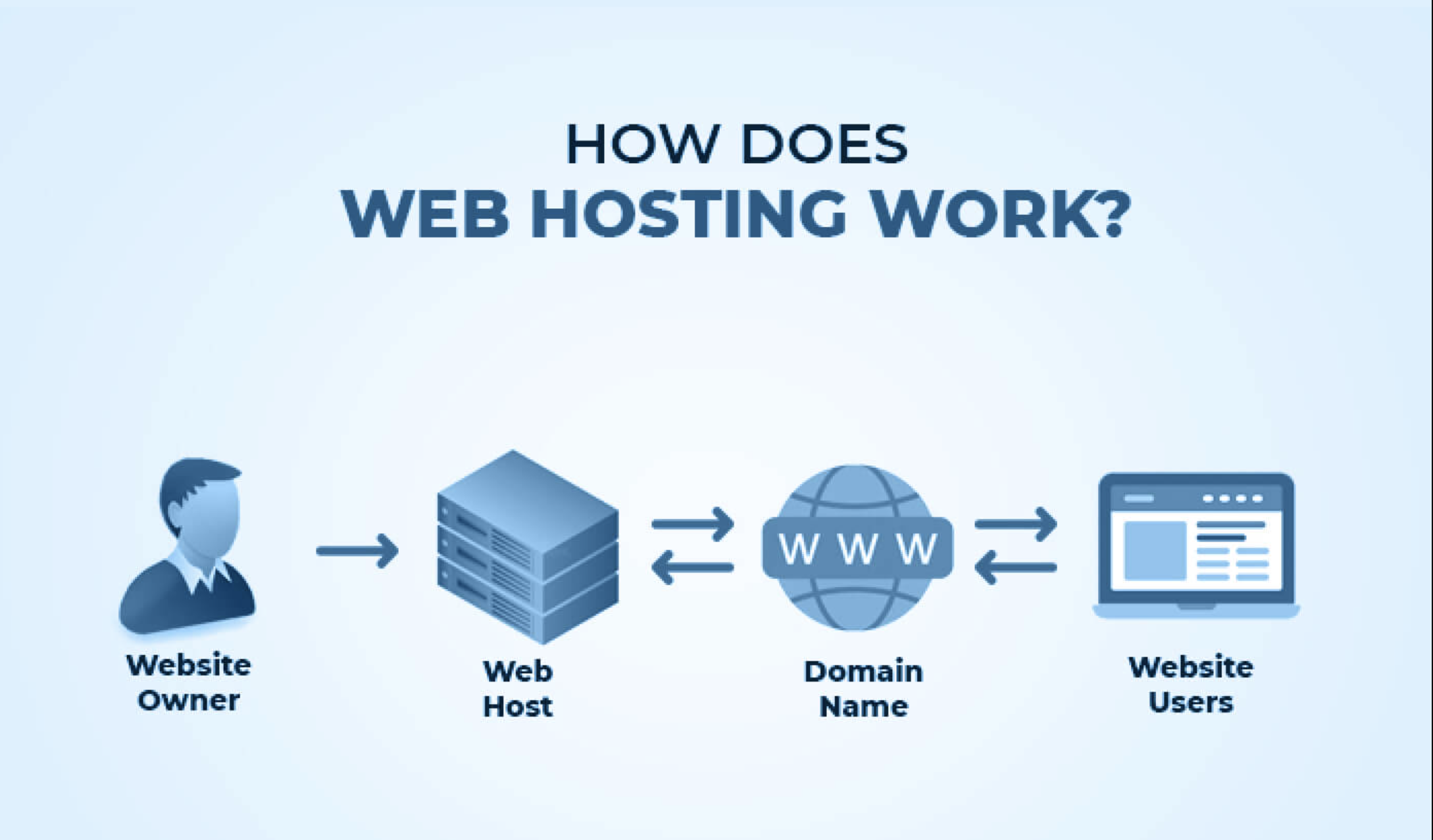 What is website hosting? Why do I need it?